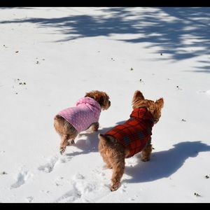 Meet your Posher, Faith